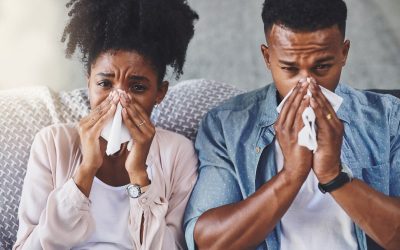 Allergy Season and Indoor Air Quality (IAQ)