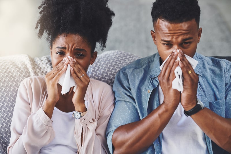 Allergy Season and Indoor Air Quality (IAQ)
